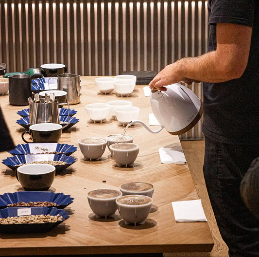 Coffee Tasting and Cupping Course - Basic Level (4 hours)